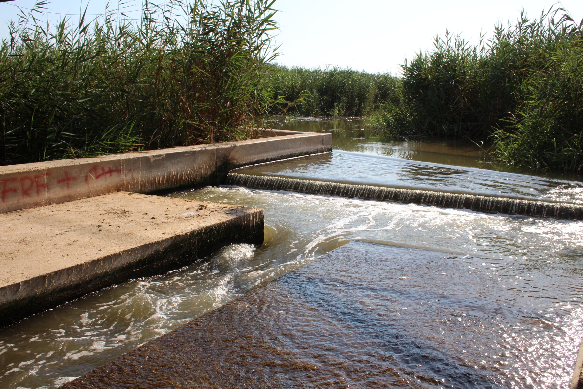 Detalle de la rambla del Albujón. Foto: CHS