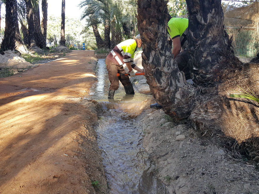 Estos trabajos de riego los realizan dos personas durante dos días. Imagen: Ayuntamiento de Murcia