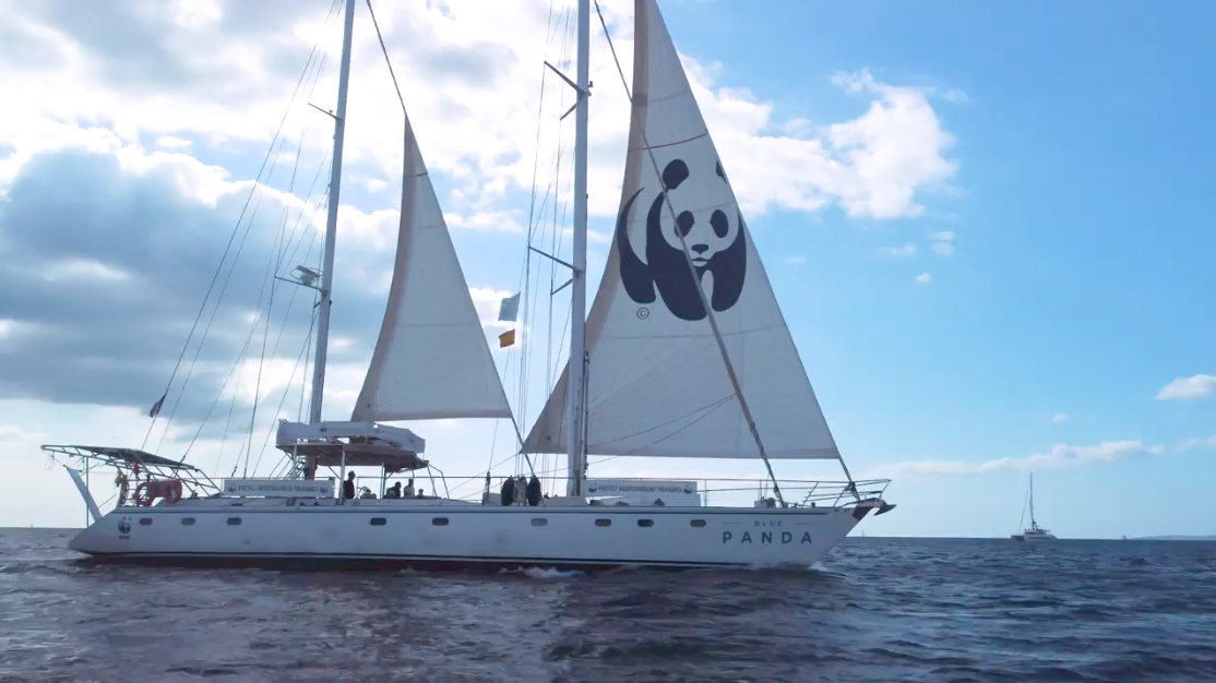El velero Blue Panda llegará a Cartagena el próximo 28, donde podrá ser visitado por el público. Imagen: WWF
