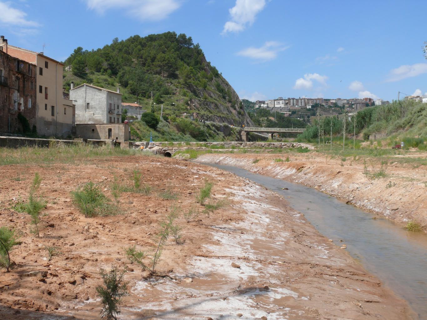 Lecho antiguo del río Cardener en La Coromina-Cardona en el que se observan los restos de sal. Imagen:  Florenci Vallès / Montsalat / MNCN
