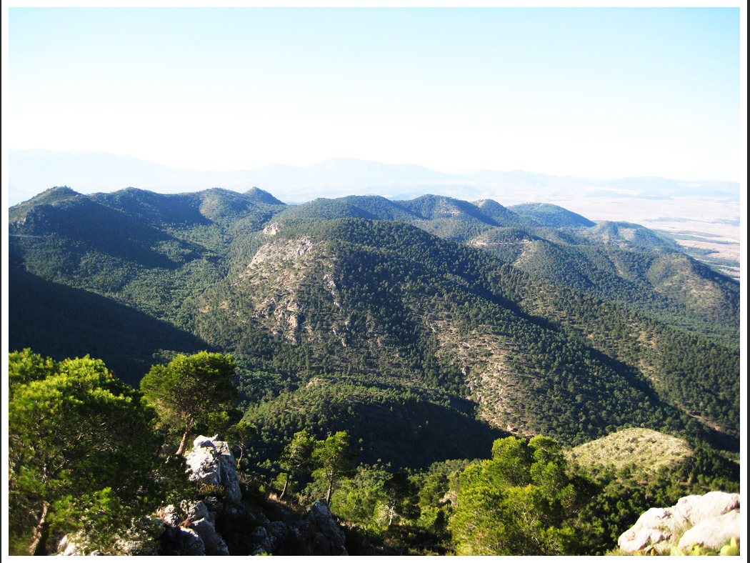 Sierra de Ricote. Imagen: CARM (Catálogo de montes de utilidad pública)