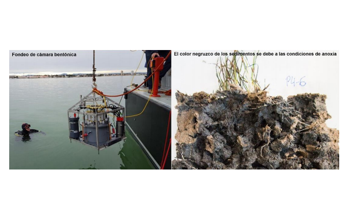 La UPCT y el Instituto Español de Oceanografía analizan los fondos del mar Menor. Imagen: UPCT