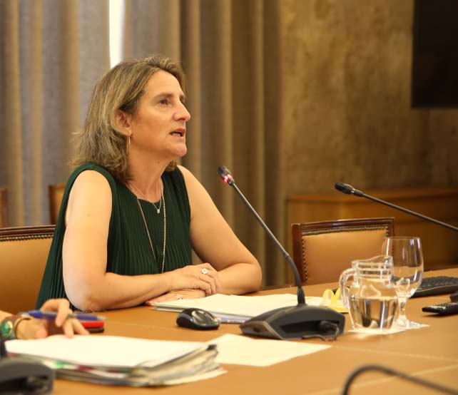 Teresa Ribera, vicepresidenta tercera del Gobierno y ministra para la Transición Ecológica y el Reto Demográfico, en una reciente fotografía. Imagen: Miteco