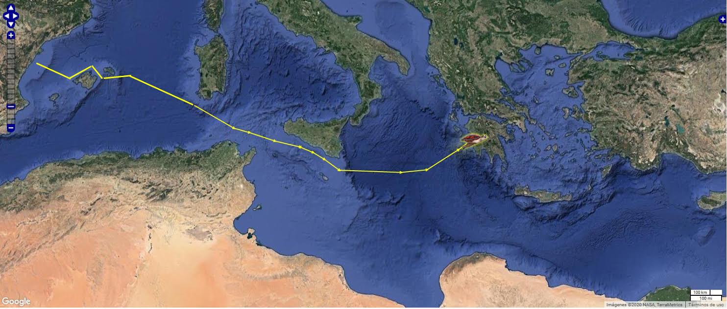 El largo recorrido de Colomera supera ya los 3.00 kilómetros. Imagen: Fundación Oceanogràfic