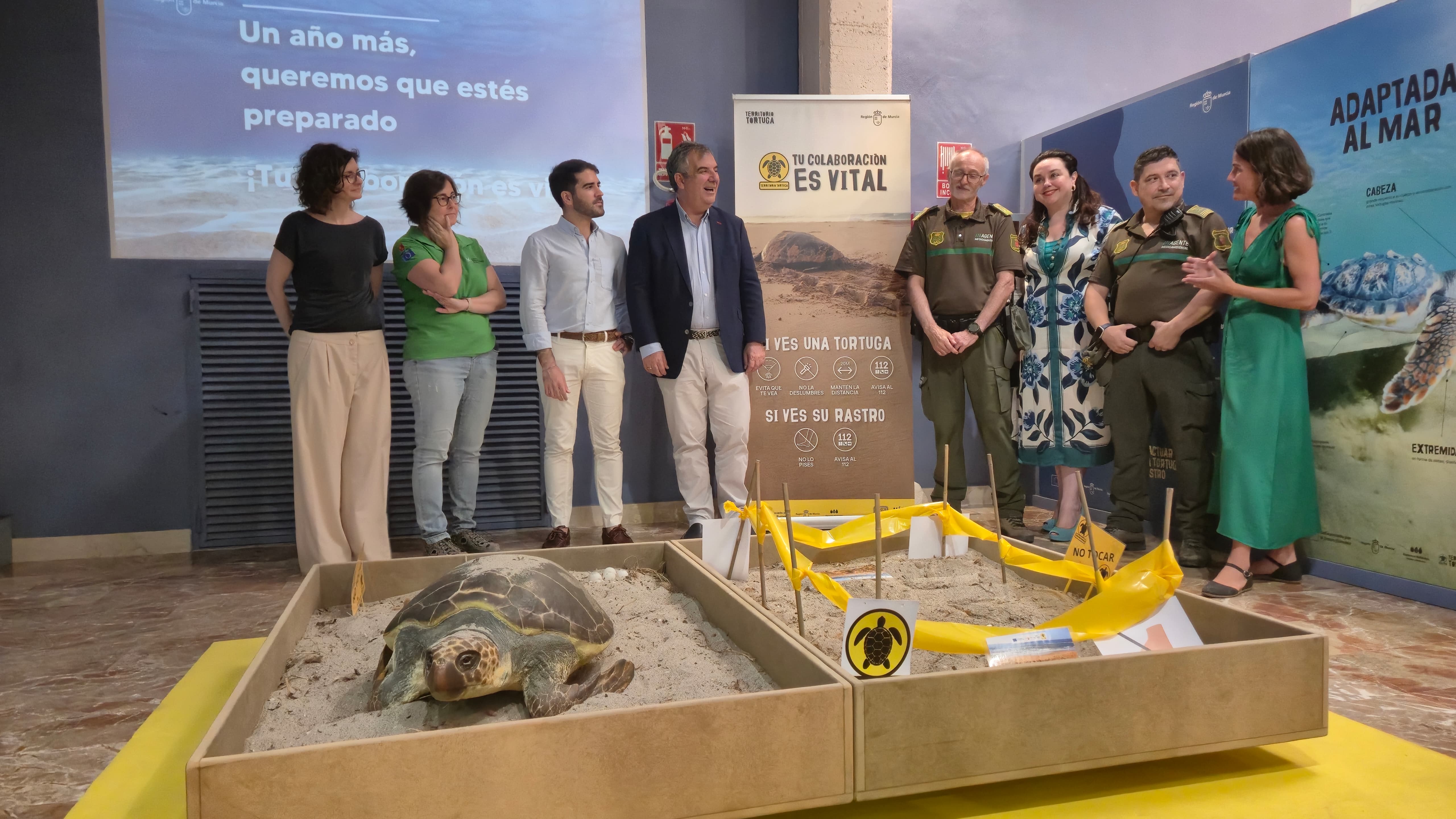 La nueva sala cuenta con dos dioramas de gran realismo. Foto: Ayto. de Murcia