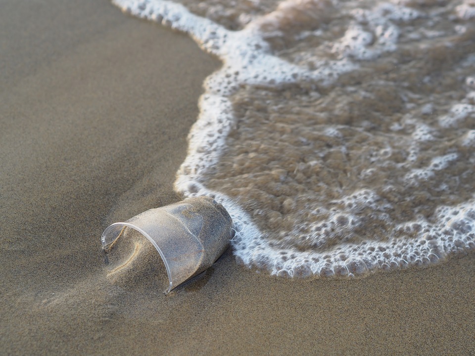 Un vaso de plástico abandonado en la orilla. Imagen: Pixabay