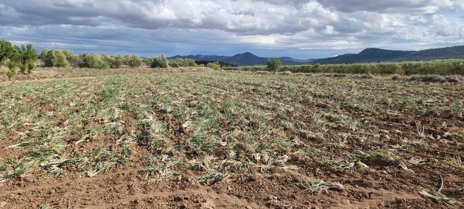 Foto: Salvemos el Arabí y Comarca